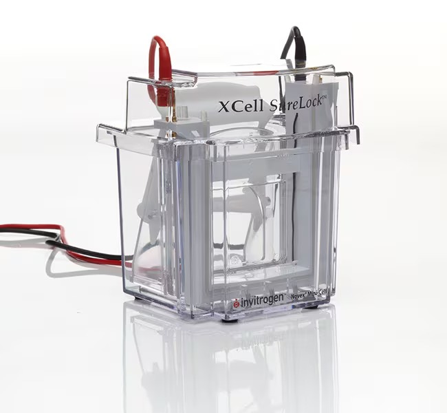 Invitrogen™ XCell SureLock™ Mini-Cell