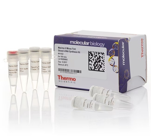 [K1651] Thermo Scientific™ Maxima H Minus First Strand cDNA Synthesis Kit (20 Rxns, Kit only)