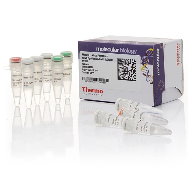 Thermo Scientific™ Maxima H Minus First Strand cDNA Synthesis Kit