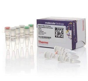 Thermo Scientific™ Maxima H Minus First Strand cDNA Synthesis Kit