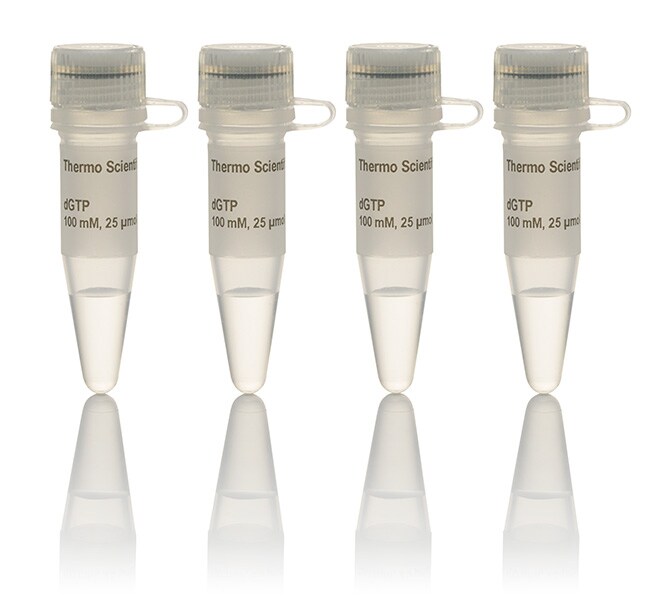 Thermo Scientific™ dNTP Set, 100 mM Solutions