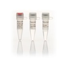 Thermo Scientific™ T4 DNA Ligase (5 U/μL)
