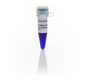Thermo Scientific™ DNA Loading Dye & SDS Solution (6X), 5 x 1 mL