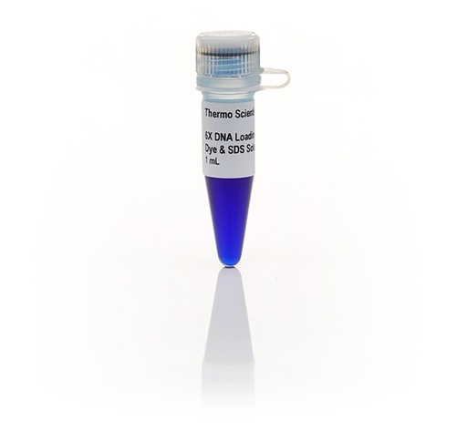 [R1151] Thermo Scientific™ DNA Loading Dye & SDS Solution (6X), 5 x 1 mL