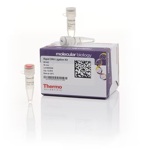 Thermo Scientific™ Rapid DNA Ligation Kit