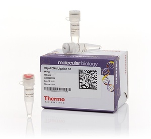 Thermo Scientific™ Rapid DNA Ligation Kit