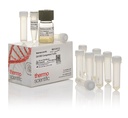Thermo Scientific™ DH10B Chemically Competent E. coli Cells, High Efficiency, 10 x 100 μL 