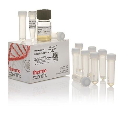 [EC0113] Thermo Scientific™ DH10B Chemically Competent E. coli Cells, High Efficiency, 10 x 100 μL 