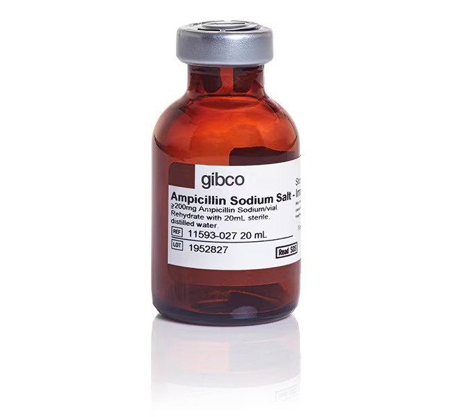Gibco™ Ampicillin, sodium salt, irradiated, 200 mg