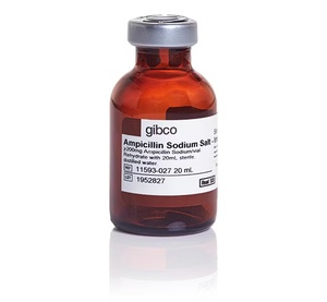 Gibco™ Ampicillin, sodium salt, irradiated, 200 mg