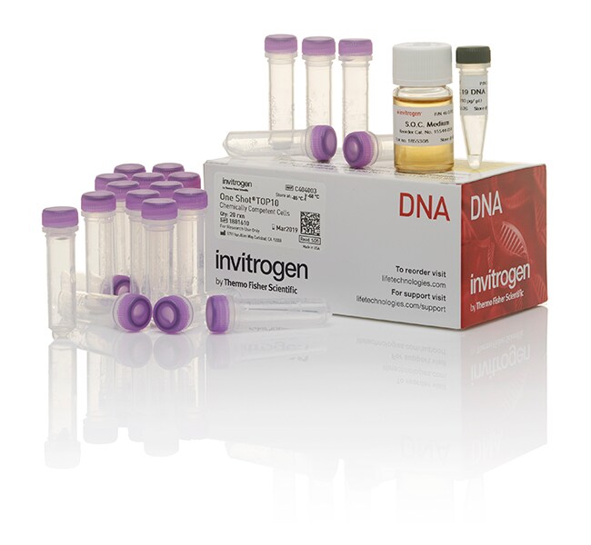 Invitrogen™ One Shot™ TOP10 Chemically Competent E. coli Cells