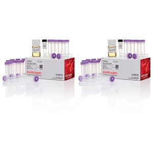 Invitrogen™ One Shot™ TOP10 Chemically Competent E. coli Cells