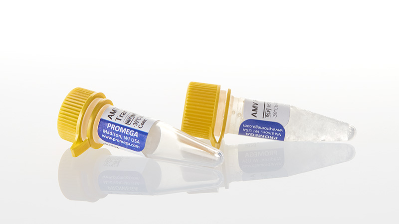 Promega AMV Reverse Transcriptase