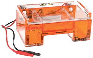 Thermo Scientific™ Owl™ EasyCast™ B1 Mini Gel Electrophoresis Systems