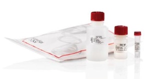 Applied Biosystems™ Axiom™ 2.0 Reagent Kit 