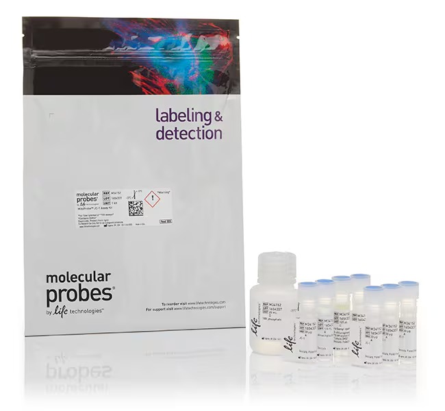 Invitrogen™ MitoProbe™ JC-1 Assay Kit