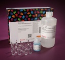 Thermo Scientific™ Pierce™ BCA Protein Assay Kit
