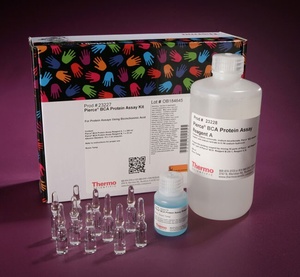 Thermo Scientific™ Pierce™ BCA Protein Assay Kit