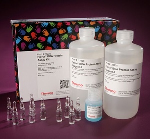 Thermo Scientific™ Pierce™ BCA Protein Assay Kit