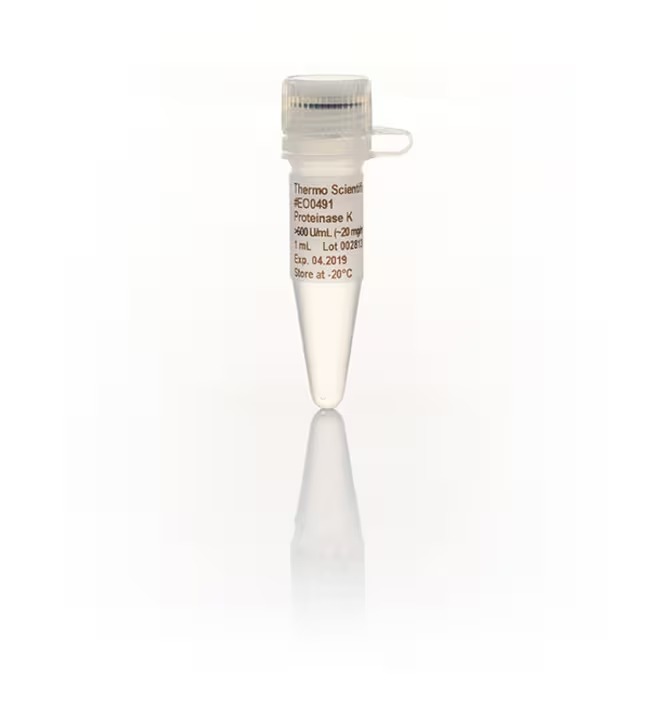 Thermo Scientific™ Proteinase K, recombinant, PCR grade, 20 mg/mL