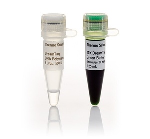 Thermo Scientific™ DreamTaq DNA Polymerase (5 U/μL), Green with 10X DreamTaq Green Buffer 