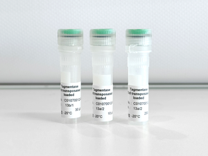 Tagmentase (Tn5 transposase) - loaded