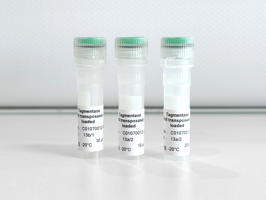 Diagenode Tagmentase (Tn5 transposase) - loaded