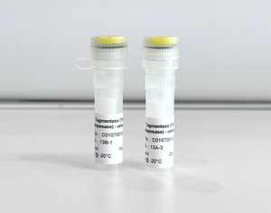 Diagenode Tagmentase Dilution Buffer, 200 µl
