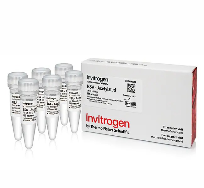 Invitrogen™ BSA, acetylated (20 mg/mL), 6 x 25 mg