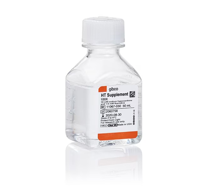Gibco™ HT Supplement (100X), 50mL