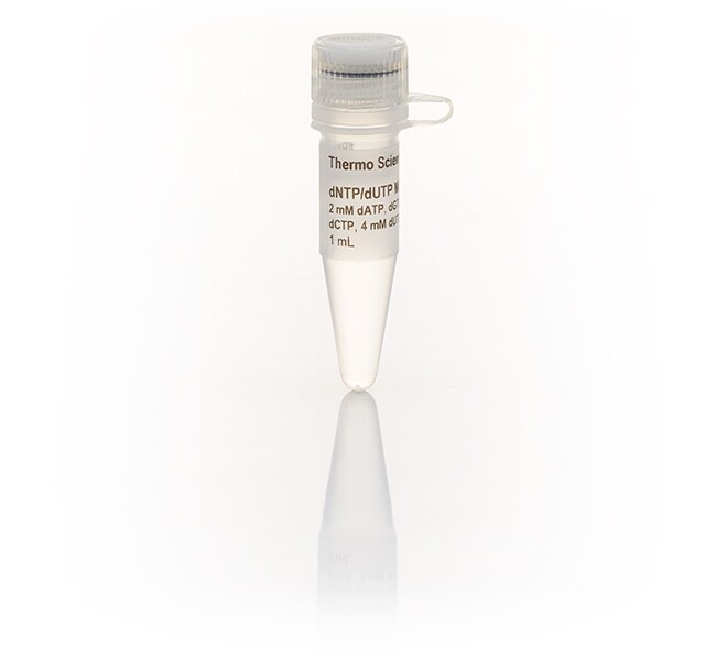 Thermo Scientific™ dNTP/dUTP Mix, 2 mM, 1mL