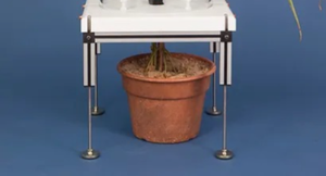 Guillotine and stand for Volatile Collection Chamber, 1.5 inch reinforced KSB, adjustable height legs