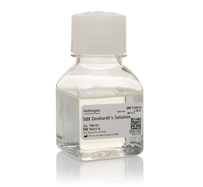 Invitrogen™ Denhardt's Solution (50X), 100mL