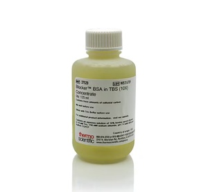 Thermo Scientific™ Blocker™ BSA (10X)