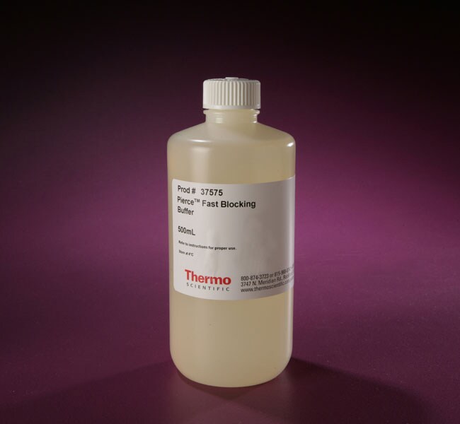 Thermo Scientific™ Pierce™ Fast Blocking Buffer