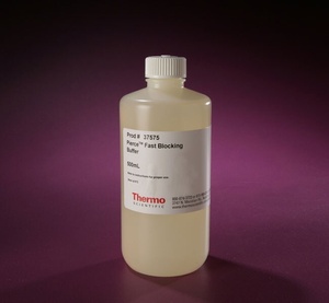Thermo Scientific™ Pierce™ Fast Blocking Buffer
