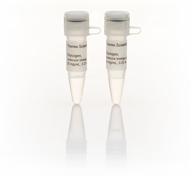 Thermo Scientific™ Glycogen, molecular biology grade, 2 x 0.25 mL