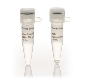 Thermo Scientific™ DreamTaq™ PCR Master Mix (2X)