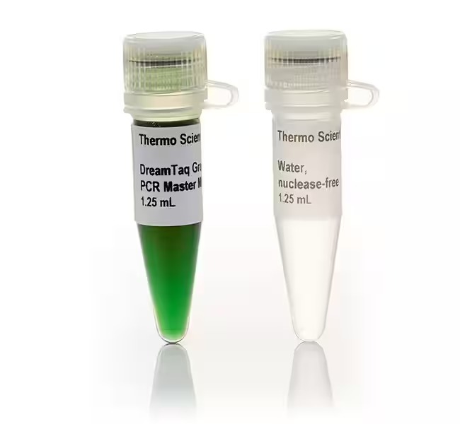 Thermo Scientific™ DreamTaq™ Green PCR Master Mix (2X)