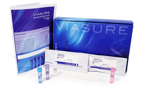 [VS-EEE106H] VIASURE®E. coli EHEC, EPEC & EIEC Real Time PCR Detection Kit (6 x 8-well strips, high profile (48 Reactions))