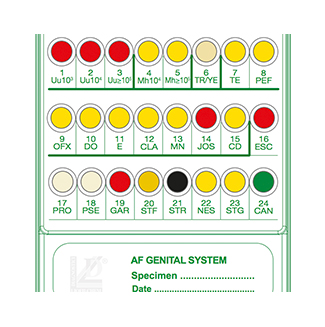 [74156] Liofilchem® A.F. Genital System for 20 Tests (for 20 Tests)