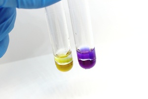 Liofilchem™ Ornithine Decarboxylase Test, 30 Tests