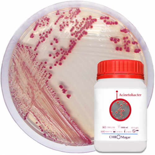 CHROMagar™ Acinetobacter Kit