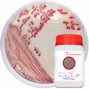 CHROMagar™ Acinetobacter Kit