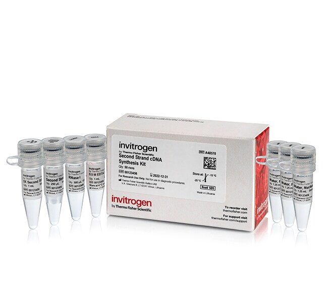 Invitrogen™ Second Strand cDNA Synthesis Kit