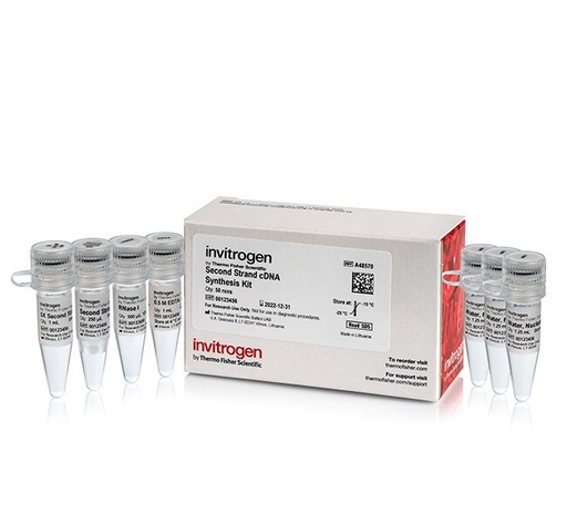 [A48570] Invitrogen™ Second Strand cDNA Synthesis Kit (50 reactions)