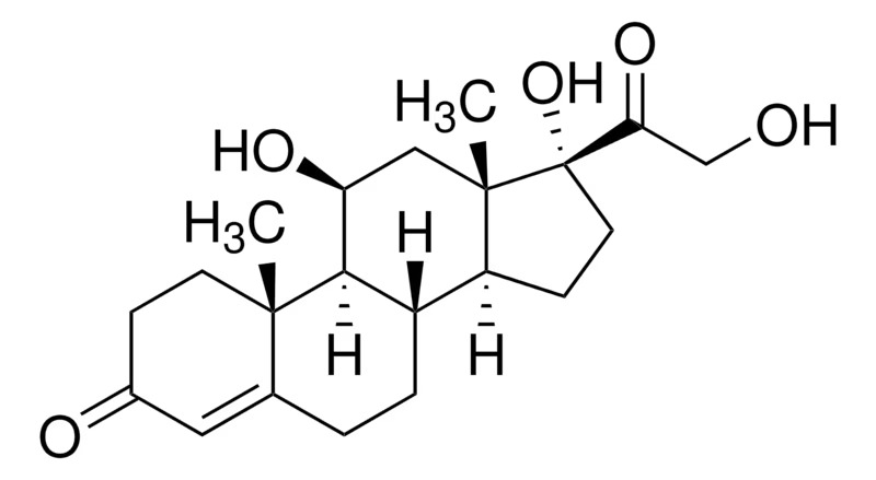 Thermo Scientific™ Hydrocortisone 98%