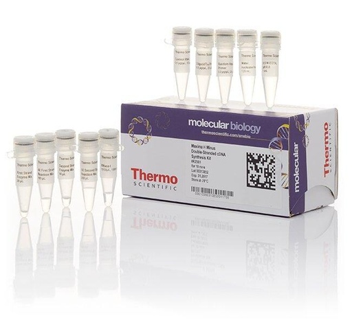 [K2561] Thermo Scientific™ Maxima H Minus Double-Stranded cDNA Synthesis Kit (10 rxn)