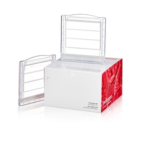 Invitrogen™ NuPAGE™ Bis-Tris Mini Protein Gels, 10%, 1.0–1.5 mm