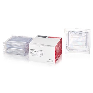 Invitrogen™ NuPAGE™ Bis-Tris Mini Protein Gels, 10%, 1.0–1.5 mm